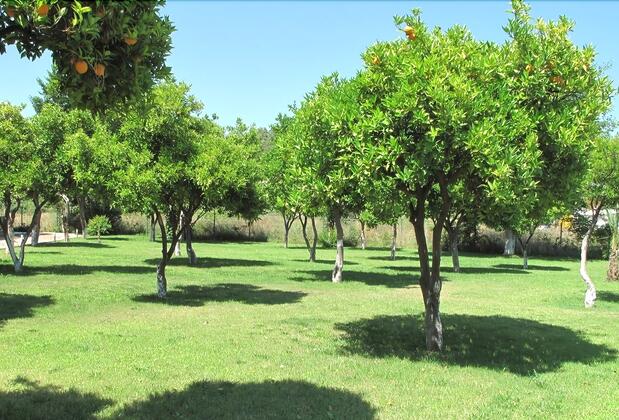 Batont Garden Resort - Görsel 14