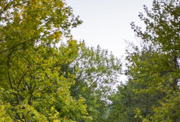 Kazdağı Thermal Resort & Spa - Görsel 5