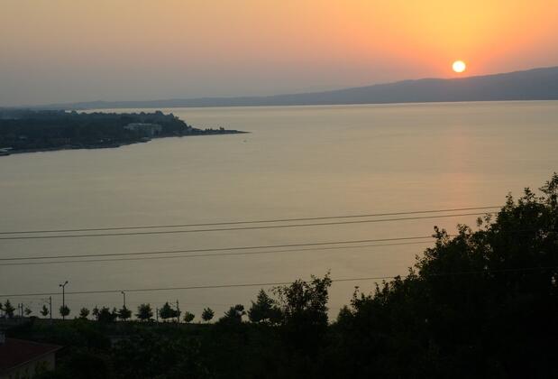 Yaprak Dağevi - Görsel 10