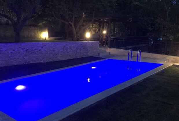 Yaprak Dağevi - Görsel 12