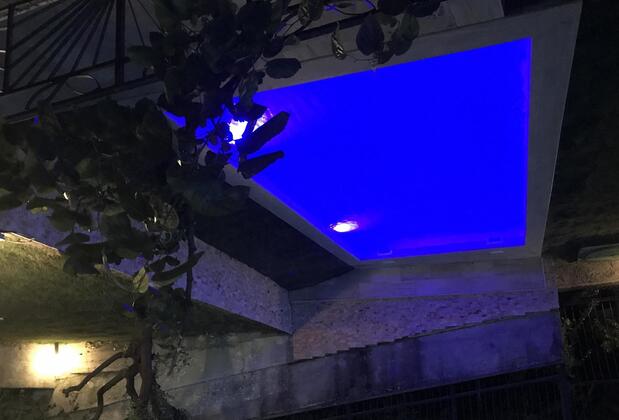 Yaprak Dağevi - Görsel 16