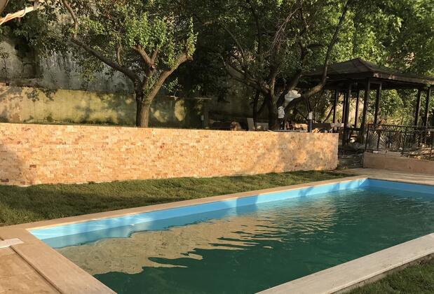 Yaprak Dağevi - Görsel 26