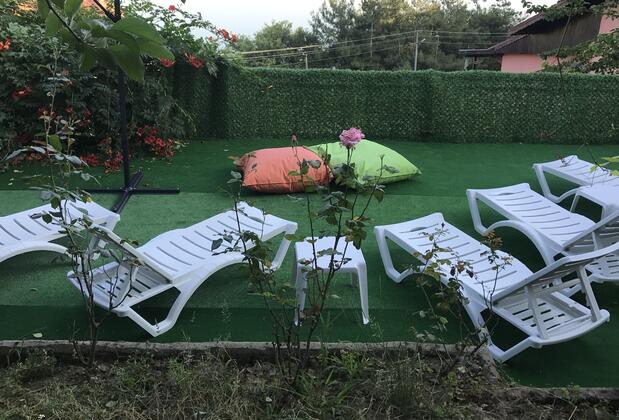 Yaprak Dağevi - Görsel 28