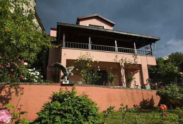 Yaprak Dağevi - Görsel 35