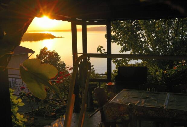 Yaprak Dağevi - Görsel 36