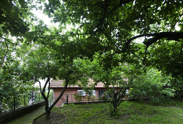 Yaprak Dağevi - Görsel 37