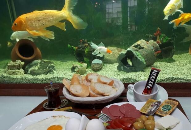 Karma Hotel - Görsel 3