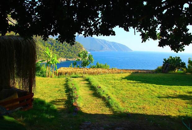 Cosmos Lounge - Görsel 5