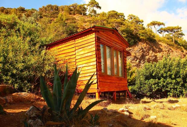 Cosmos Lounge - Görsel 3