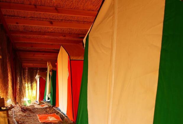 Cosmos Lounge - Görsel 13