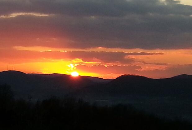 Vira Creek House - Görsel 9