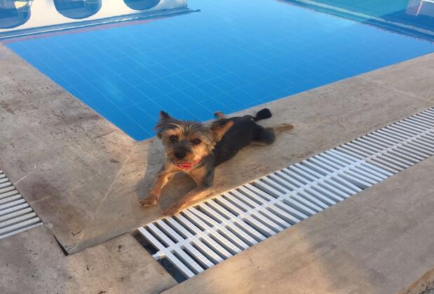 Hotel Burç - Görsel 5