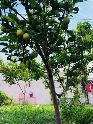 Uğurlum Apart - Görsel 5