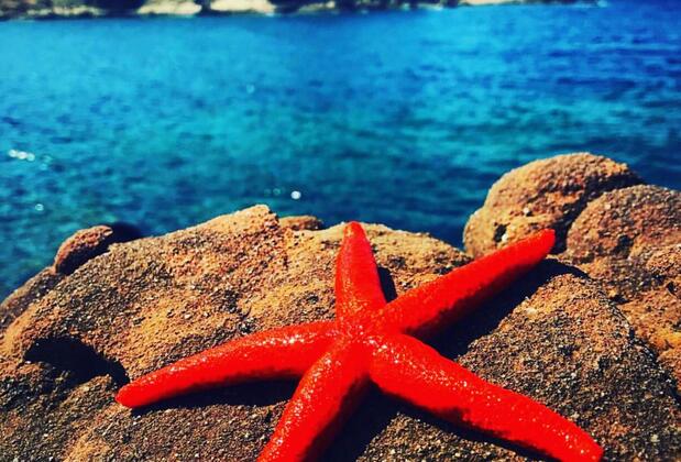 Uğurlum Apart - Görsel 9