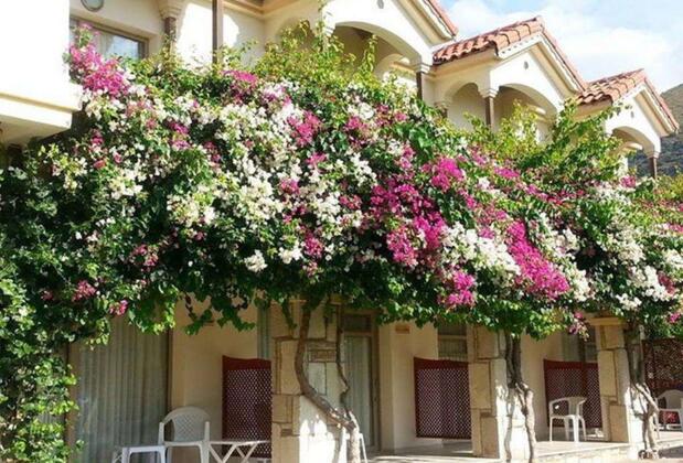 Club Pomalin - Görsel 7