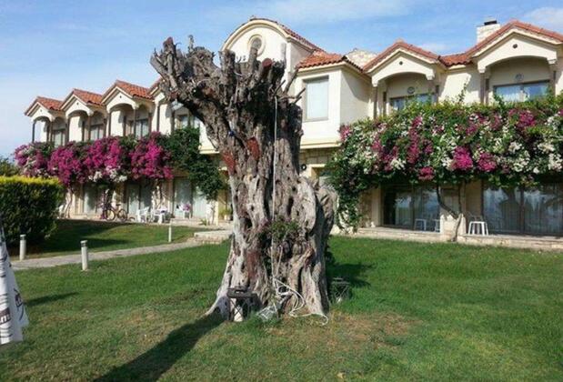 Club Pomalin - Görsel 9