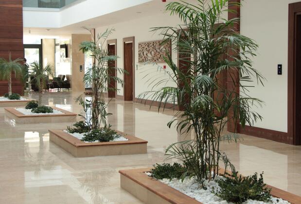 Carissa Otel - Görsel 3