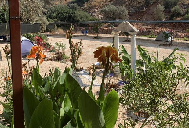 Gizli Vadi Camping & Lodge - Görsel 11