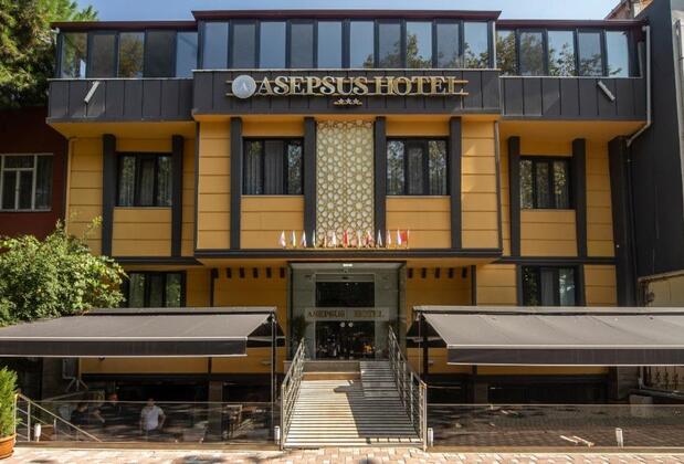 Asepsus Hotel - Görsel 9