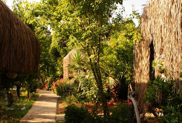 Lazy Lizard Otel - Görsel 4