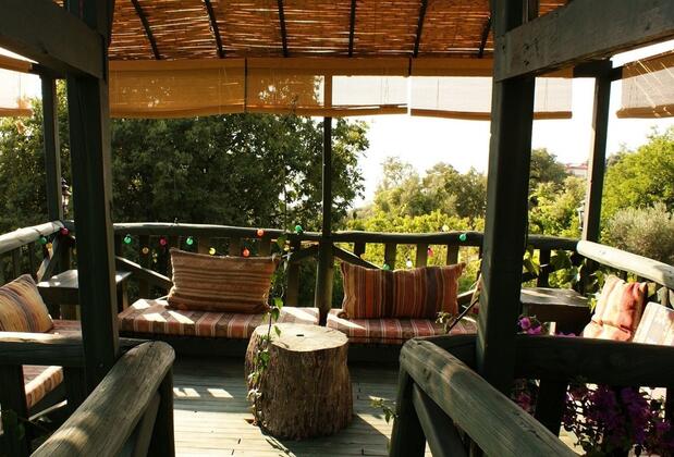 Lazy Lizard Otel - Görsel 10