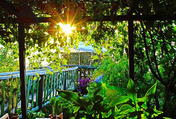 Lazy Lizard Otel - Görsel 11