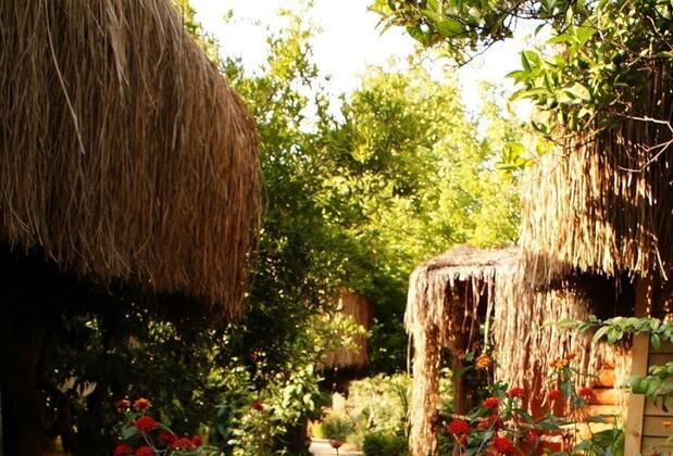 Lazy Lizard Otel - Görsel 12