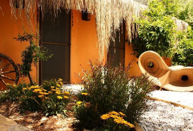 Lazy Lizard Otel - Görsel 14