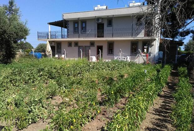 Geyikli Herrara - Görsel 9