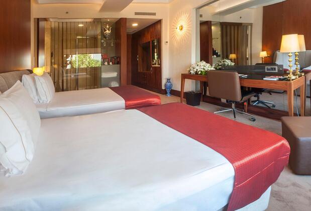 Albatros Hagia Sophia Hotel - Görsel 24