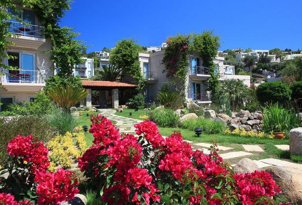 No 81 Hotel - Görsel 18