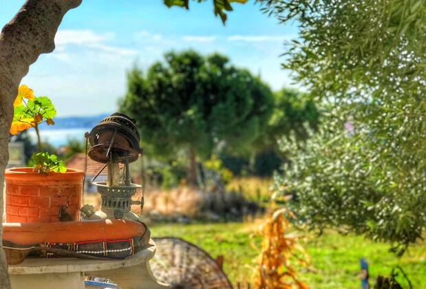 Cunda The Lara Butik Otel - Görsel 6