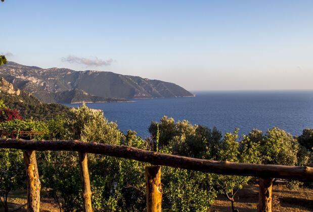 Bağ Camp Kabak - Görsel 5