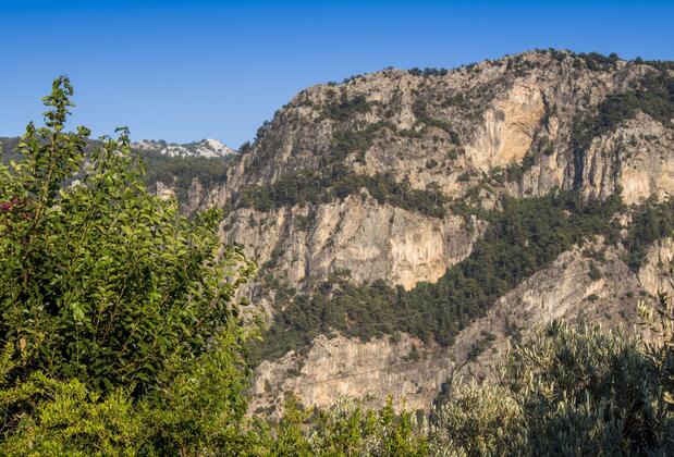 Bağ Camp Kabak - Görsel 8