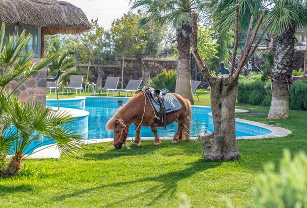 Assos Ali's Farm Boutique Hotel & Spa - Görsel 15