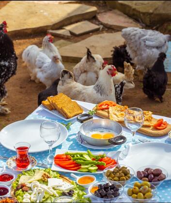 Ağva Teras Garden Otel - Görsel 8