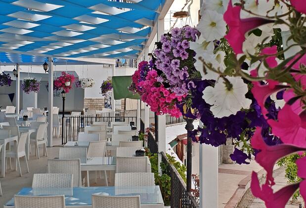 Sky Vela Hotel & Suites Bodrum - Görsel 9