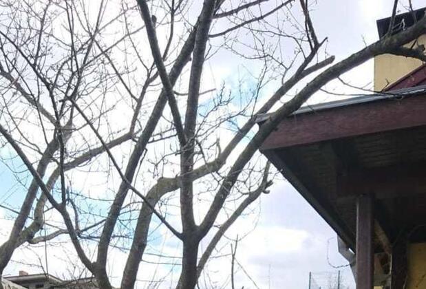 Sapanca Villa Isengard - Görsel 8