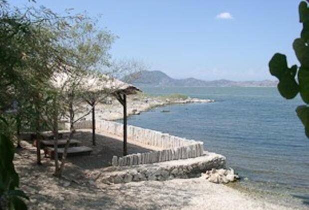 Silva Oliva Hotel & Farm - Görsel 3