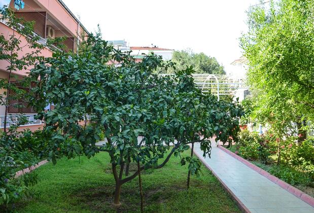 Berk Apart Motel - Görsel 3