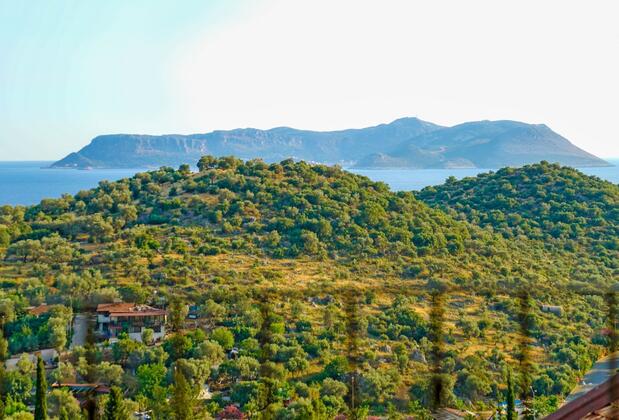 Picus Apartment - Görsel 2