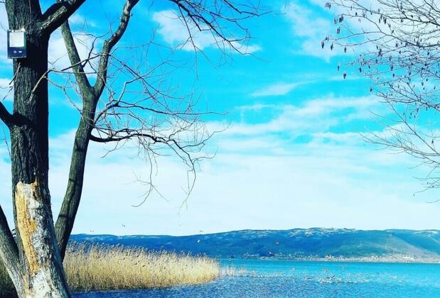 Osso Garden Bungalow - Görsel 3