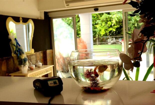 Blue Dolphin Otel - Görsel 37