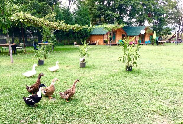 Osso Garden Bungalow - Görsel 12