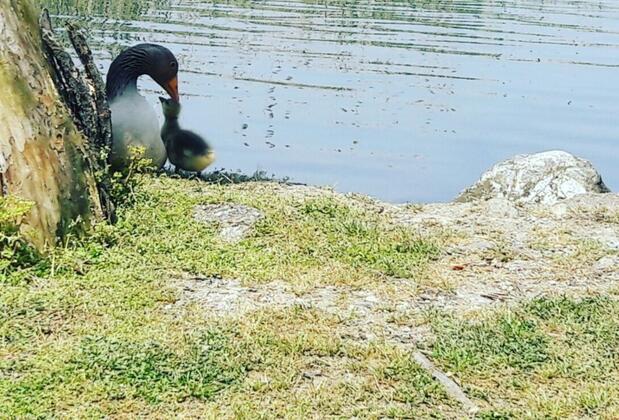 Osso Garden Bungalow - Görsel 14