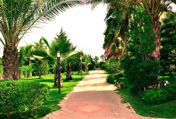 Orfeus Park Otel - Görsel 8