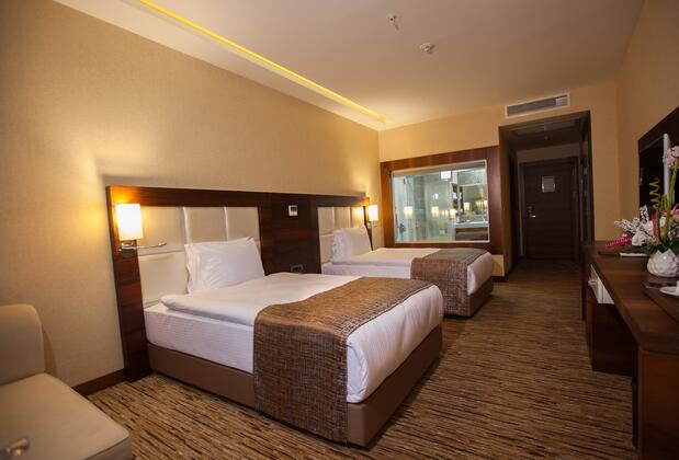 Mitannia Regency Hotel - Görsel 35