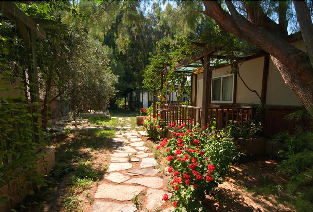 Aspat Termera Resort Hotel - Görsel 22