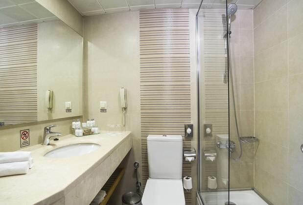 Radisson Hotel Istanbul Sultanahmet - Görsel 28