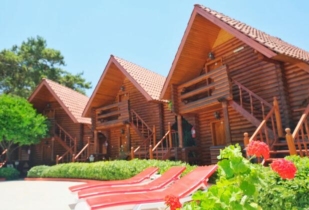 Woodline Hotel - Görsel 3